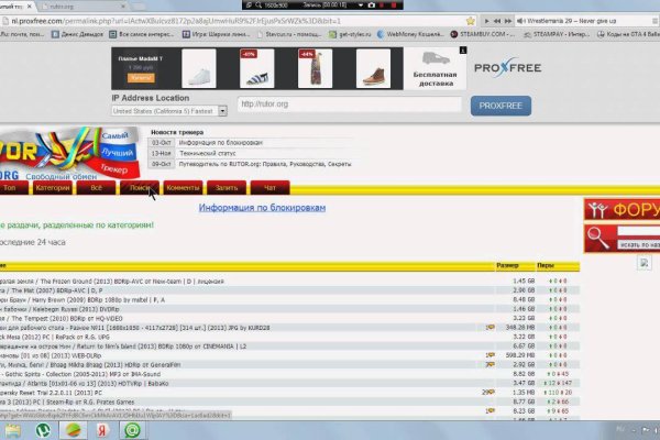 Магазины котиков для начинающих